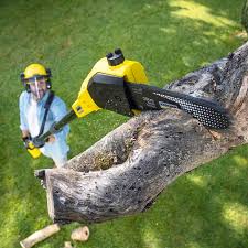 Artificial Turf Installation in The Colony, TX
